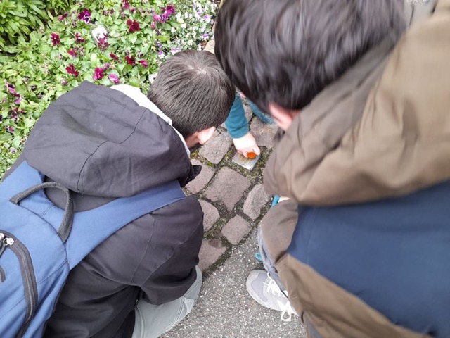 Mittel Putzen 2