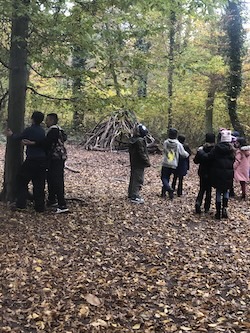 Wald 4b1