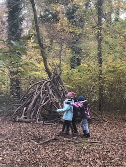 Wald 4b3