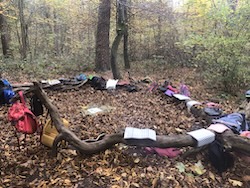 Wald 4b4