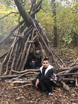 Wald 4b5