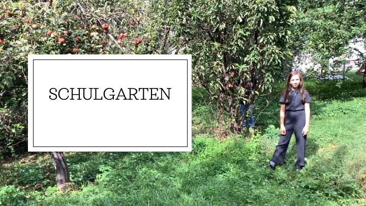 Schulgarten
